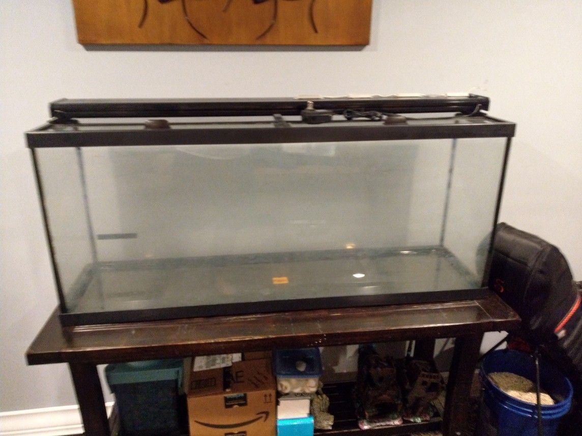 55 gallon aquarium with stand and accessories