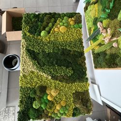 Moss Art Moss Installtion