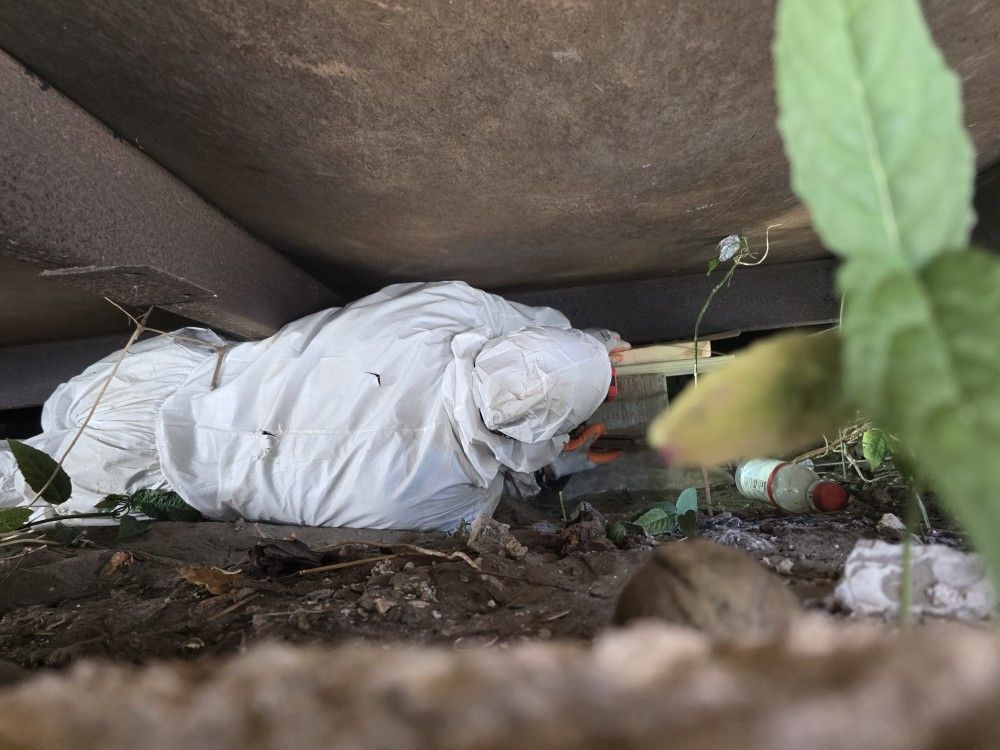 Vapor Barrier And Insulation Crawlspace 