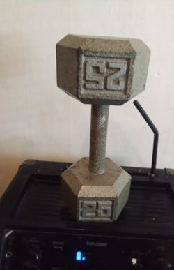Champion 25Ib Iron Hex Weight 