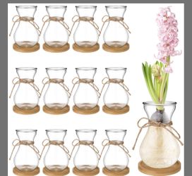 8 Hyacinth Vases Houseplant Propagation W Coasters NEW