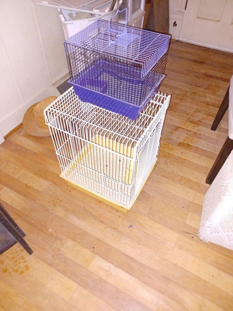 Parrot Cage