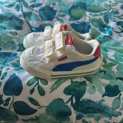 Puma