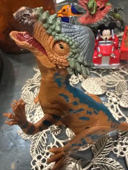 Rare dinosaur