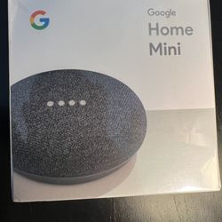 Google Home Mini (Charcoal)