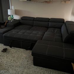 New Sleeper Sectional Sofa 