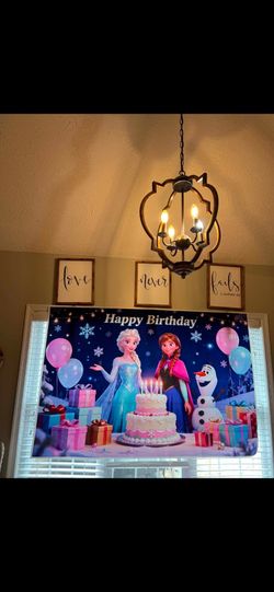 Frozen party decorations $25