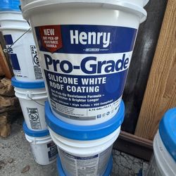 12 pro grade paint