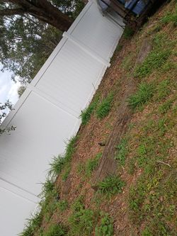 Free Telephone Posts Or Wood...