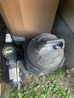 Pool filter pump and motor