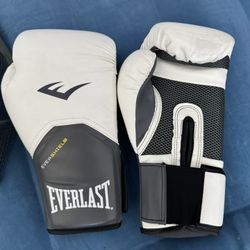 12 Ounce Everlast Boxing Gloves