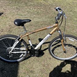 Schwinn Hybrid Mountain Bike