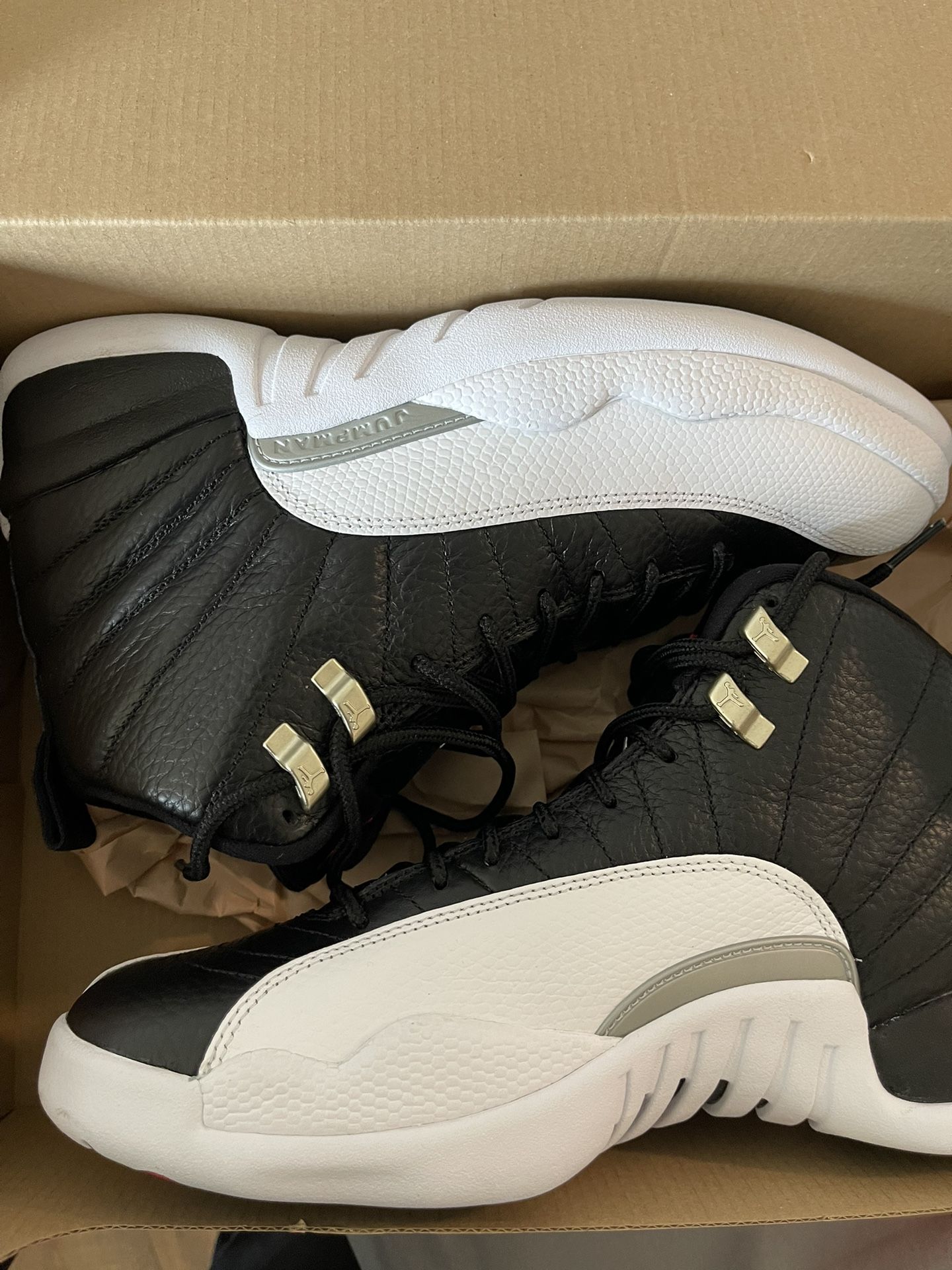 Jordan Playoff 12