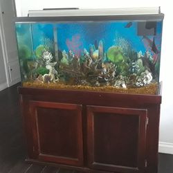 Fish Tank/Reptile 