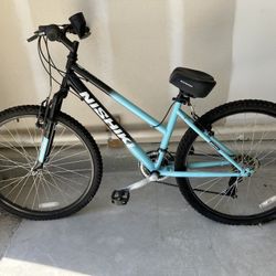 Nishiki Bicycle 