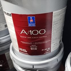 A100 Paint