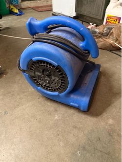 Carpet fan