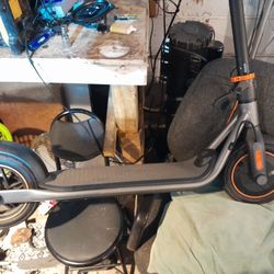 Electronic  Scooter 