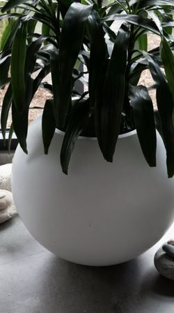 self watering system for plants Sainlogic Automatic Plant Waterer for 15 Potted Plants, Smart Self Watering System with Humidity Monitor Display,Deep Root Irrigation, IP64
