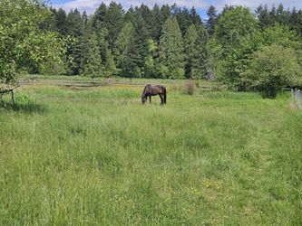FULL CARE BOARDING (HAY INC.)