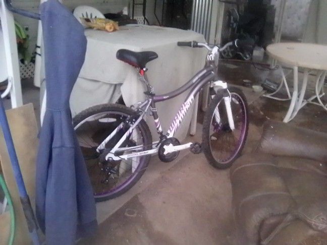 Genesis Whirl Wind Bike