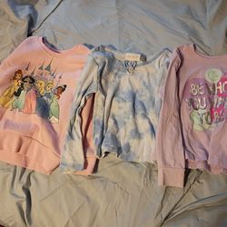 Size 4T Toddler Girl Clothing Lot