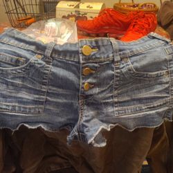 Women's No Boundaries Brand Cut-Off Blue Jean Denim Jean Shorts (SIZE: 13)