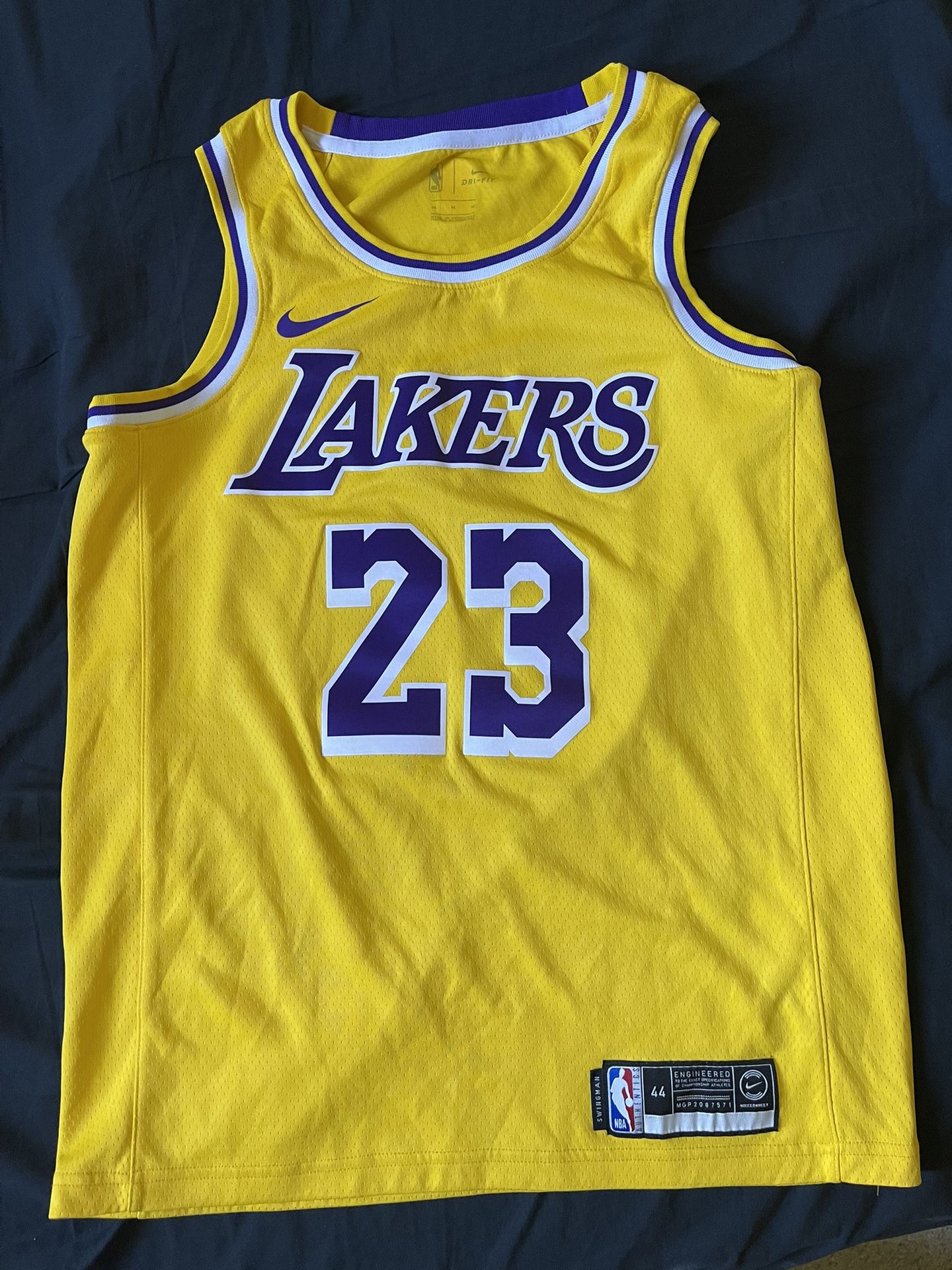 Lebron James Lakers Swingman Jersey