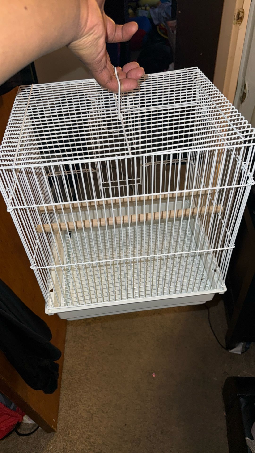 Buggie Parakeet Cage 