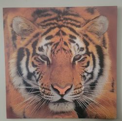 Tiger Canvas Wall Art
