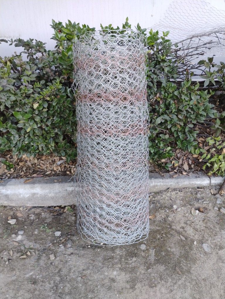 Chicken Wire