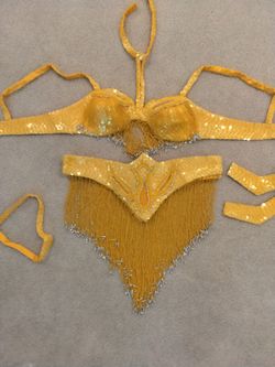 Belly Dancer Costume