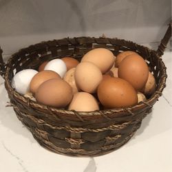Organic Eggs