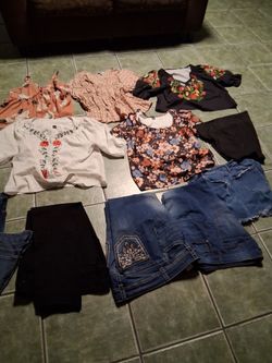 $10 for añ ladies variety clothing blouses,  horns Capri,jeans, jean shorts over 10 items  tops plus size 1x jeans size 16 &18