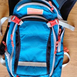 Dakine Backpack 