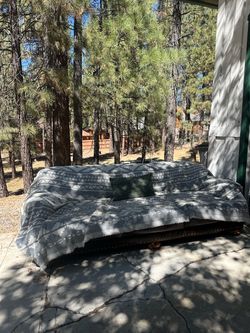 FREE COUCH