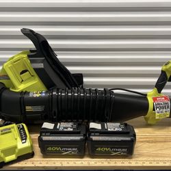 RYOBI 40V HP Brushless Whisper Series 165 MPH 730 CFM Cordless Battery Backpack Blower with (2) 6.0 Ah Batteries and Charger