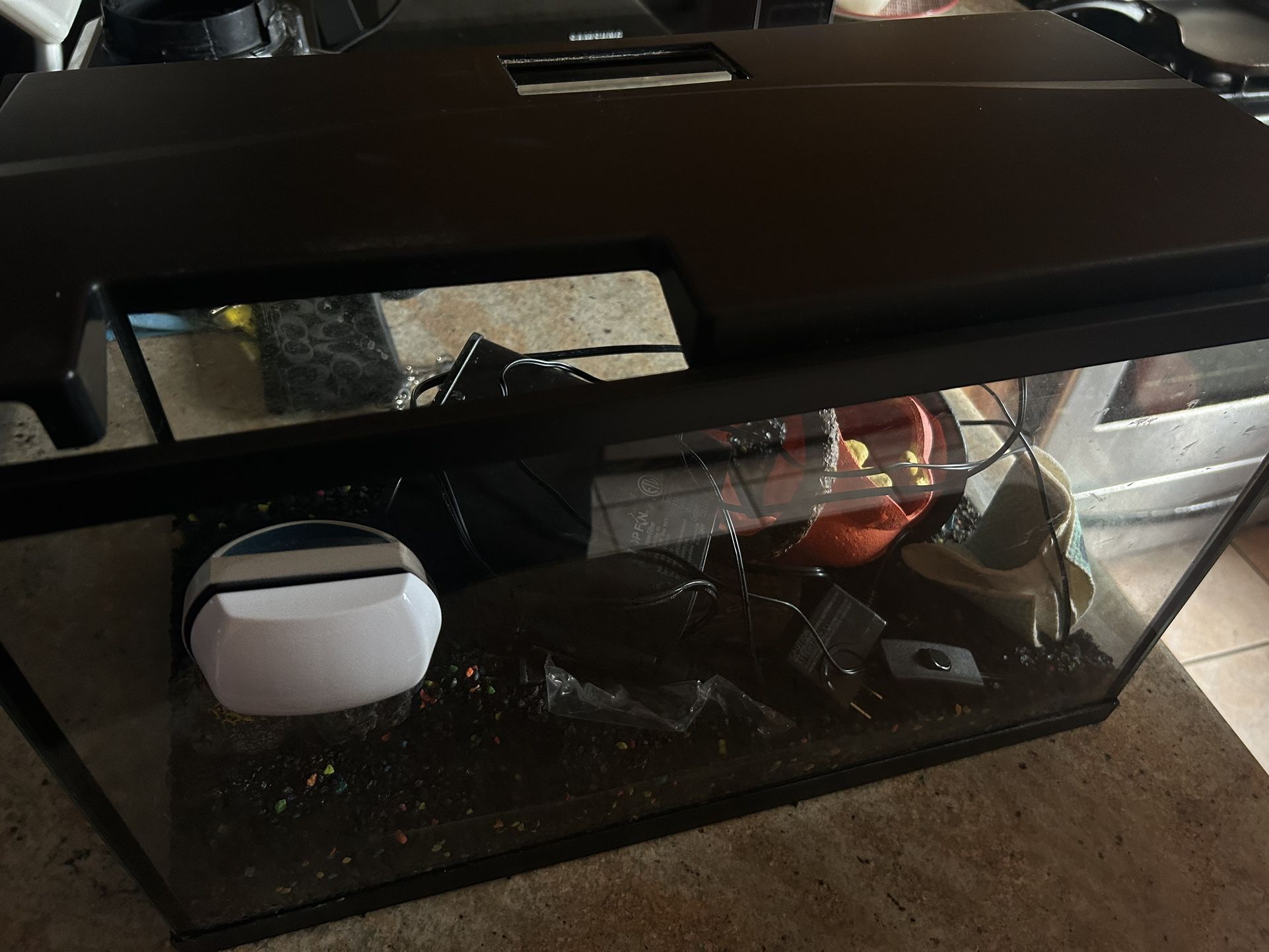 Fish Tank 