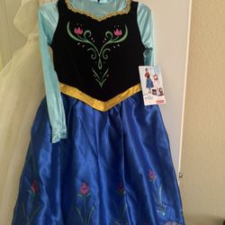 Frozen Costume