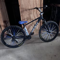 Giant SE Bike