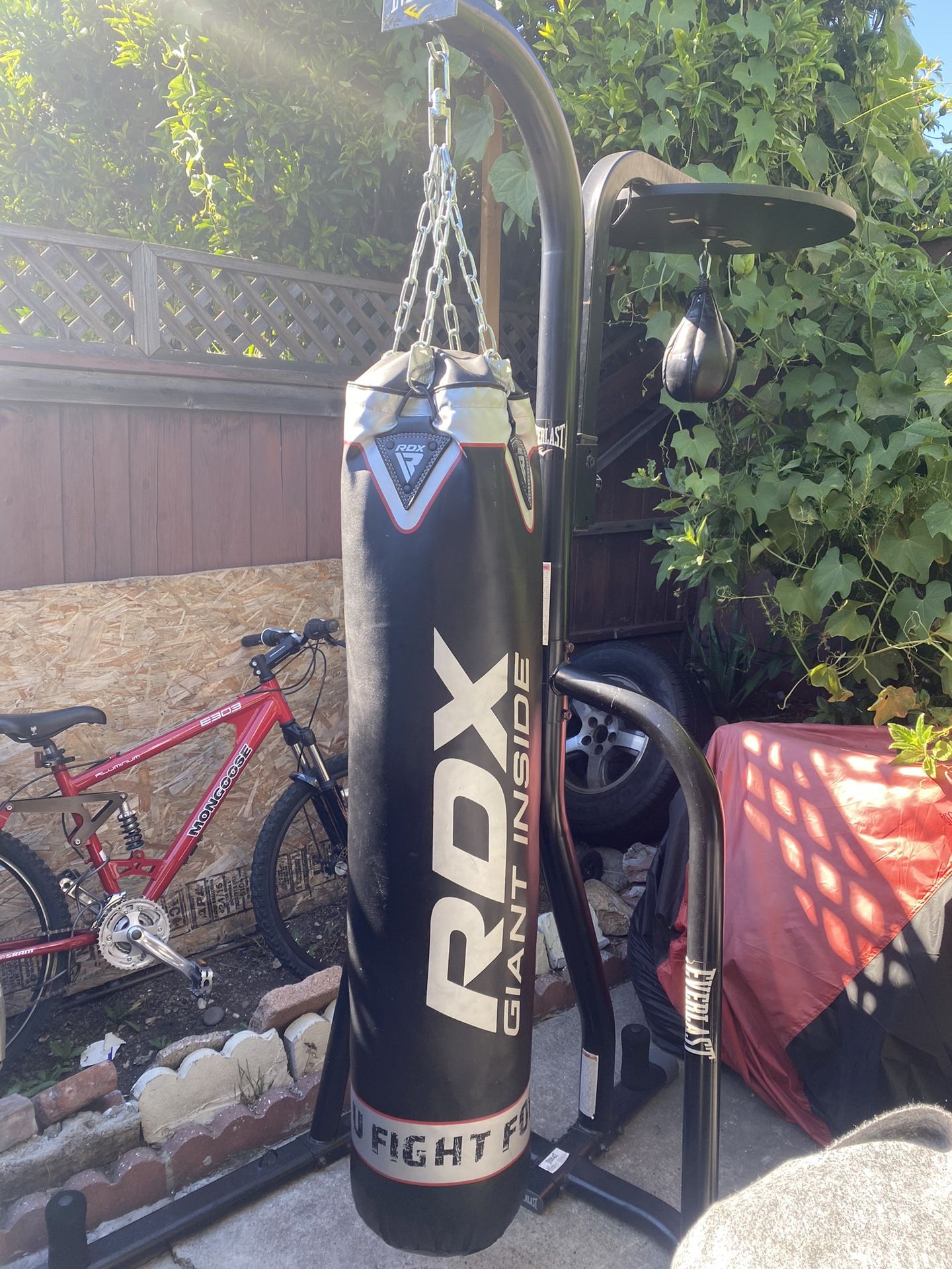 Punching Bag With Speed Bag
