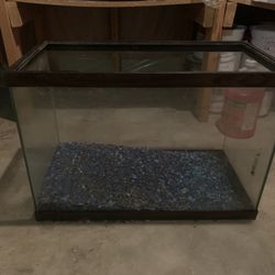 Aquarium 