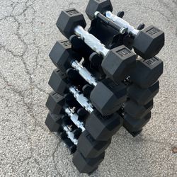 Dumbbells With Stand 