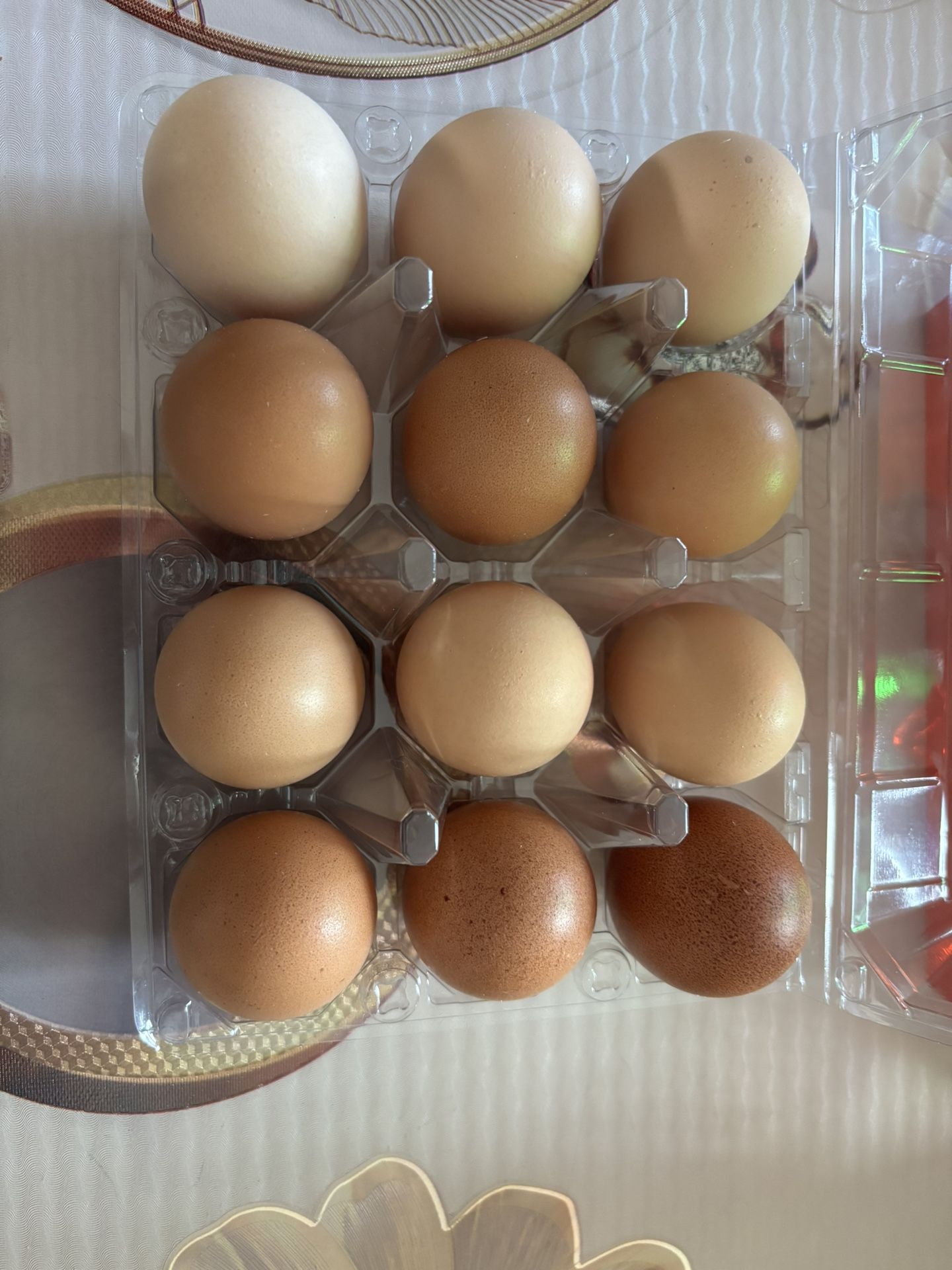 Chicken Eggs