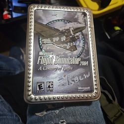 Flight Simulator 2004