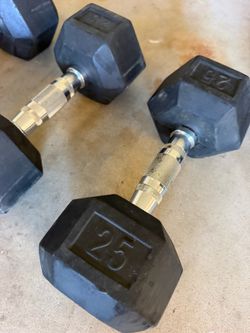 25 lbs DUMBBELLS (pair)