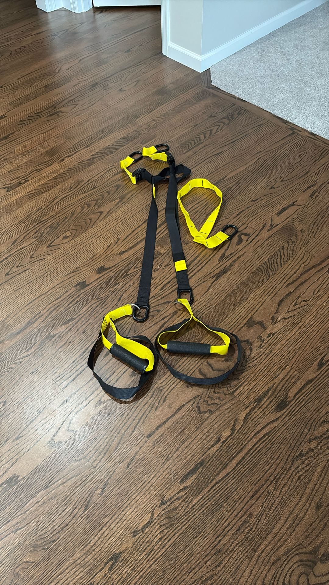 Resistance Straps (like TRX).