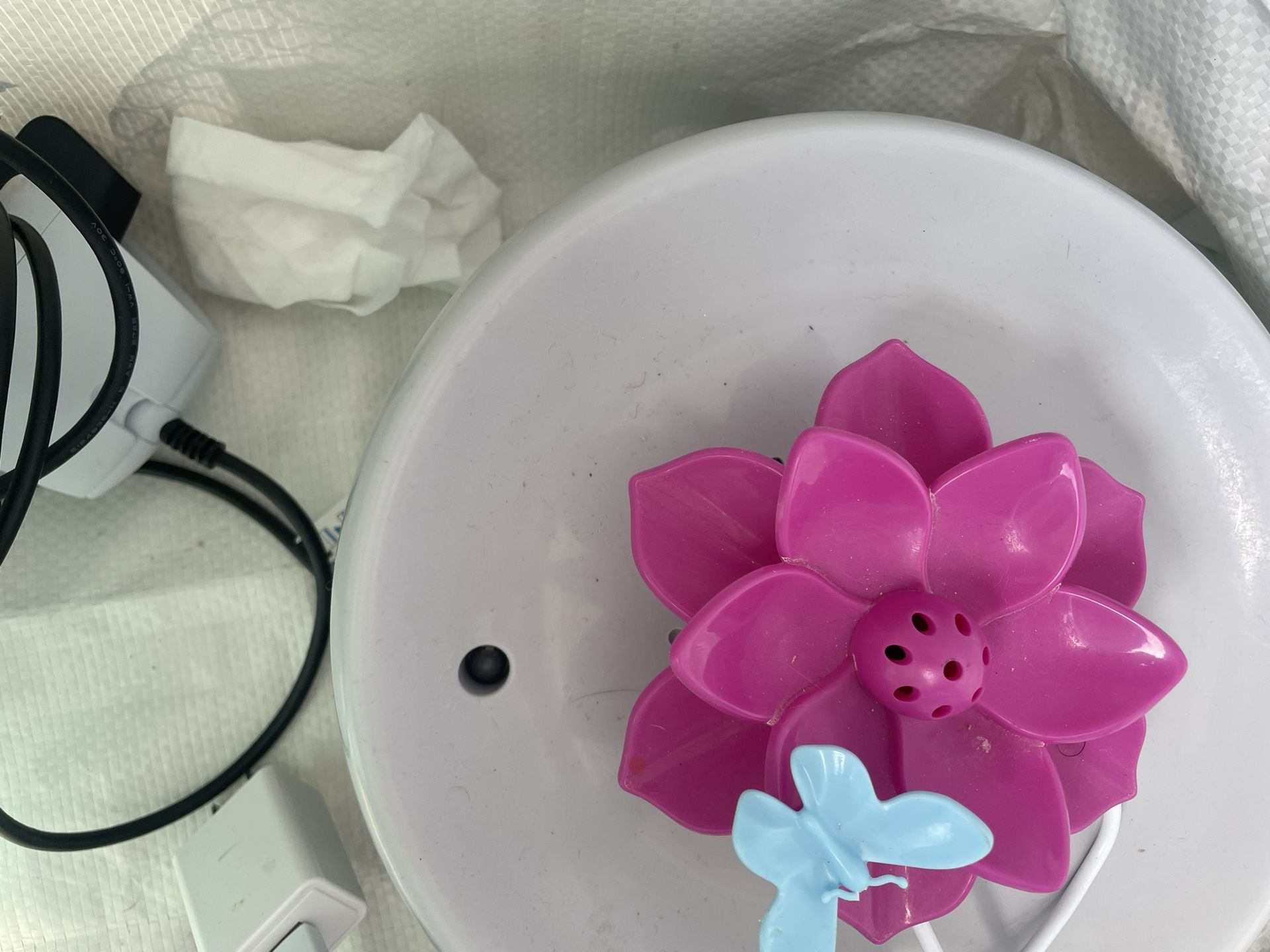 Cat Fountain