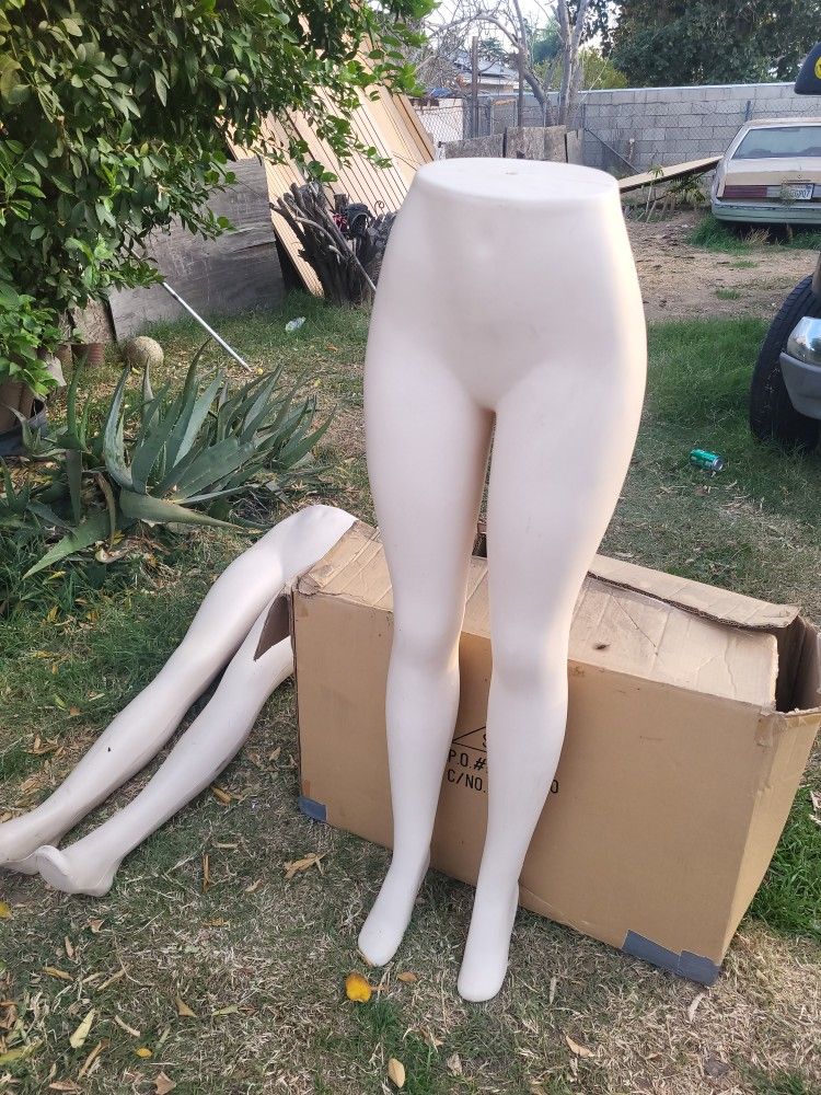 Manikins