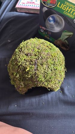 Moss Hide Cave Reptile Terrarium Decoration